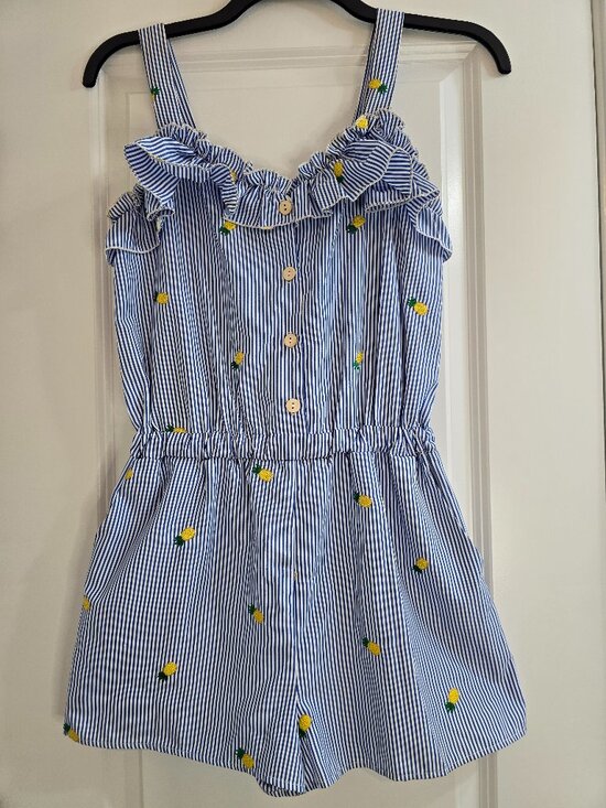 Hummingbird Pants - Hummingbird Blue Striped Romper With Embroidered Pineapple Print